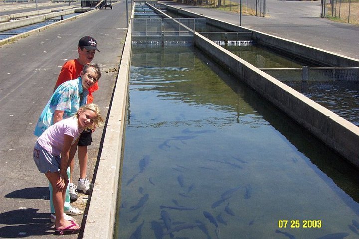 July 2003 Moccasin Creek.jpg - July 2003 - Fish hatchery at Moccasin Creek with Travis, Grammy & Stepanie